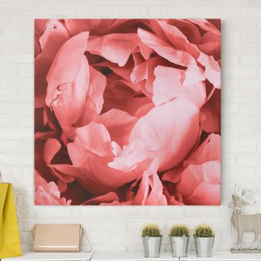 Canvas schilderijen Peony Blossom Coral