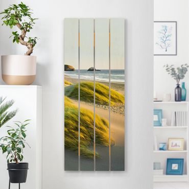 Houten schilderijen op plank Dunes And Grasses At The Sea