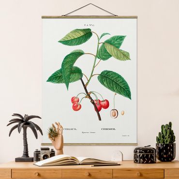 Stoffen schilderij met posterlijst Botany Vintage Illustration Red Cherries