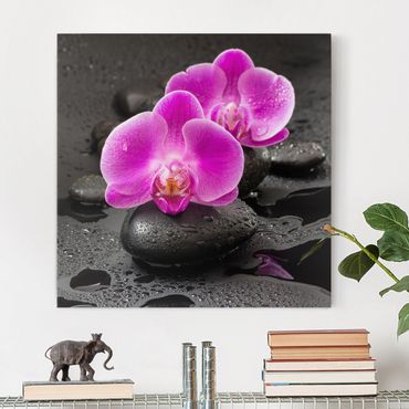Canvas schilderijen Pink Orchid Flower On Stones With Drops