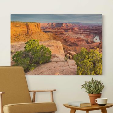 Natuurlijk canvas schilderijen Dead Horse Point Canyonlands National Park USA