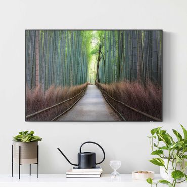 Akoestisch schilderij - The Path Through The Bamboo