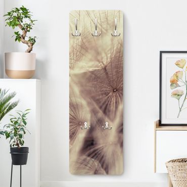 Wandkapstokken houten paneel Detailed Dandelion Macro Shot With Vintage Blur Effect