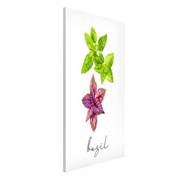 Magneetborden Herbs Illustration Basil
