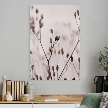 Canvas schilderijen Dark Buds On Wild Flower Twig