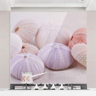 Spatscherm keuken Urchin In Pastel