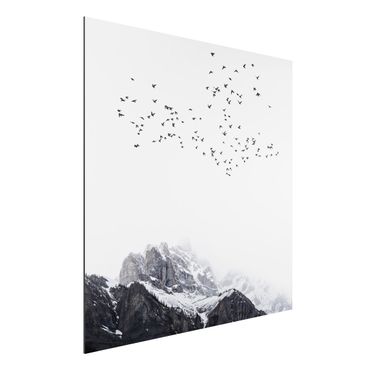 Aluminium Dibond schilderijen Flock Of Birds In Front Of Mountains Black And White