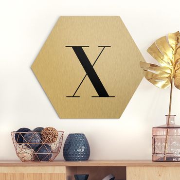 Hexagons Aluminium Dibond schilderijen Letter Serif White X
