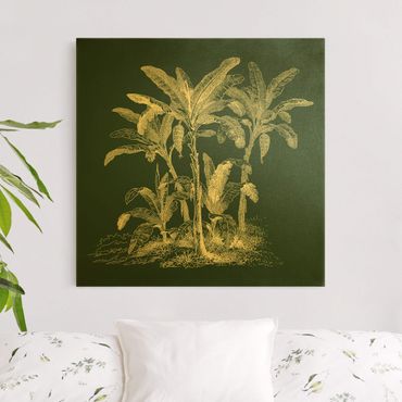 Canvas schilderijen - Goud Illustration Banana Trees On Green