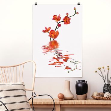 Posters Flamy Orchid Waters