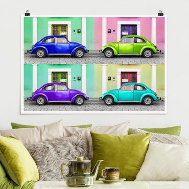 Posters Coloured Beetles