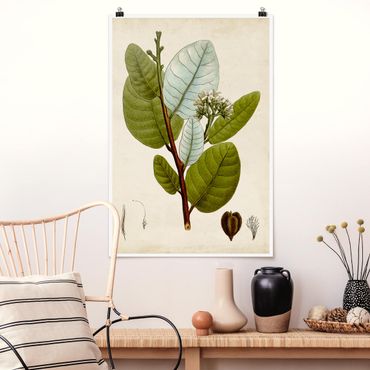 Posters Deciduous Tree Poster I