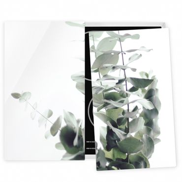 Kookplaat afdekplaten Eucalyptus In White Light
