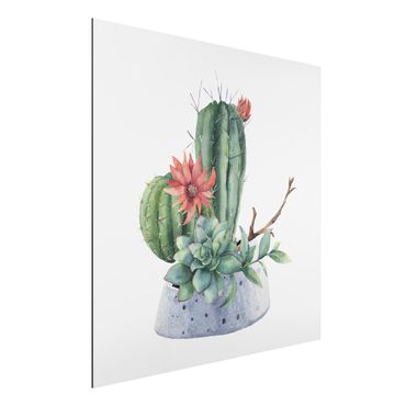 Aluminium Dibond schilderijen Watercolour Cacti Illustration