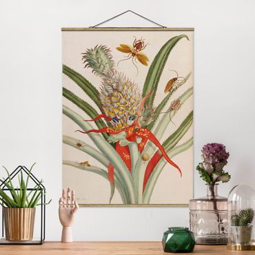 Stoffen schilderij met posterlijst Anna Maria Sibylla Merian - Pineapple With Insects