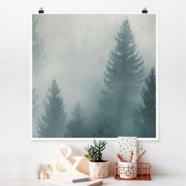 Posters Coniferous Forest In Fog