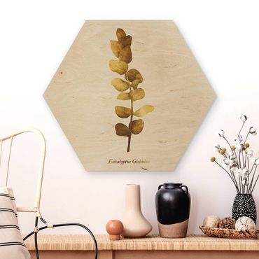 Hexagons houten schilderijen Gold - Eucalyptus