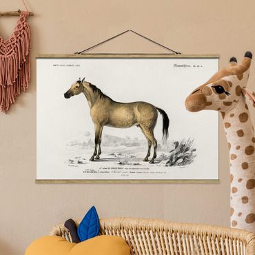 Stoffen schilderij met posterlijst Vintage Board Horse