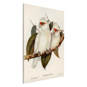 Magneetborden Vintage Illustration White Cockatoo