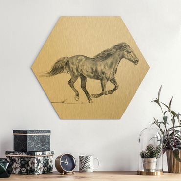 Hexagons Aluminium Dibond schilderijen Wild Horse Trial - Mare