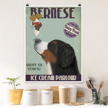Posters Bernese Mountain Dog With Ice