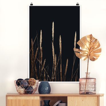 Posters Graphical Plant World - Golden Reed