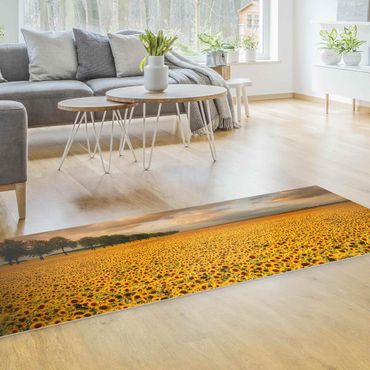Vinyl tapijt Field With Sunflowers