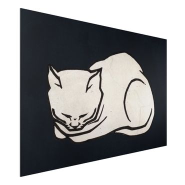 Aluminium Dibond schilderijen Sleeping Cat Illustration