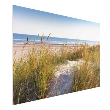 Forex schilderijen Beach Dune At The Sea