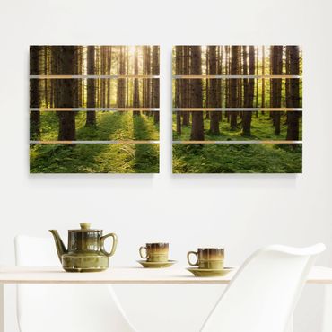 Houten schilderijen op plank - 2-delig Sun Rays In Green Forest