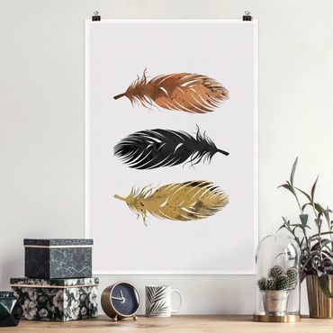 Posters Feathers