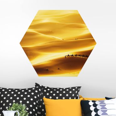 Hexagons Aluminium Dibond schilderijen Golden Dunes