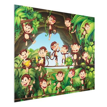 Forex schilderijen Jungle Monkeys