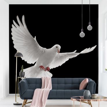 Fotobehang Dove Of Peace
