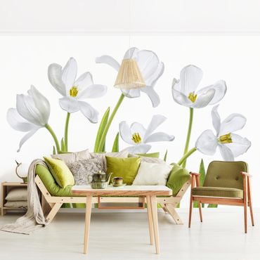Fotobehang Five White Tulips