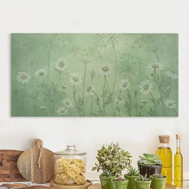 Canvas schilderijen - Daisies in the green mist