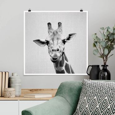 Poster - Giraffe Gundel Schwarz Weiß - Quadrat 1:1