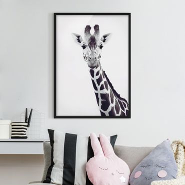 Ingelijste posters Giraffe Portrait In Black And White
