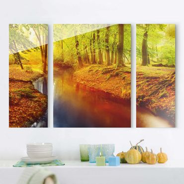 Glasschilderijen - 3-delig Autumn Forest