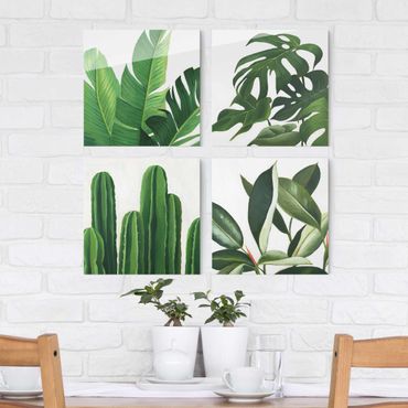 Glasschilderijen - 4-delig Favorite Plants Tropical Set I