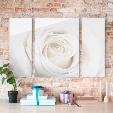 Glasschilderijen - 3-delig Pretty White Rose