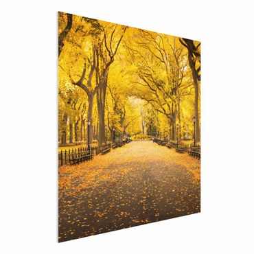 Forex schilderijen Autumn In Central Park