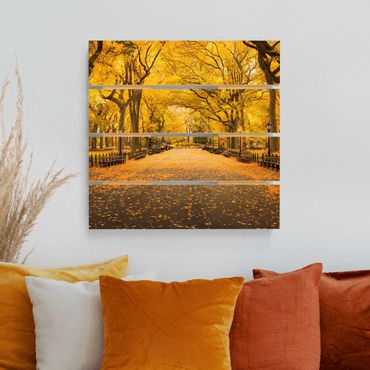 Houten schilderijen op plank Autumn In Central Park