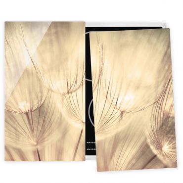 Kookplaat afdekplaten Dandelions Close-Up In Cozy Sepia Tones