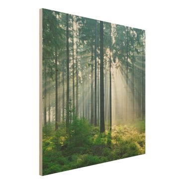 Houten schilderijen Enlightened Forest