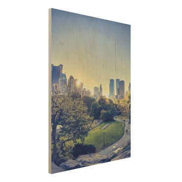 Houten schilderijen Peaceful Central Park