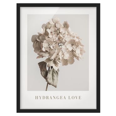 Ingelijste posters - Hydrangea Love