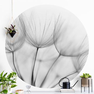 Behangcirkel Inside A Dandelion Black And White