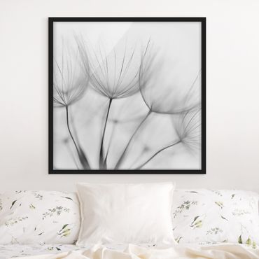 Ingelijste posters Inside A Dandelion Black And White