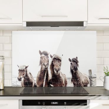 Spatscherm keuken Icelandic Horse